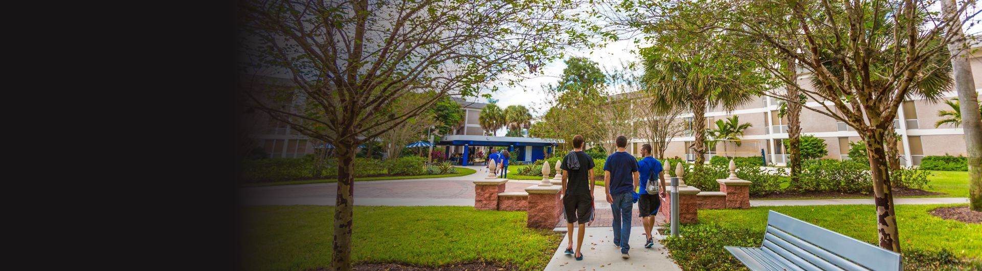 Three NSU students walk down a tree-lined sidewalk adjacent to the residence halls.